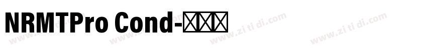 NRMTPro Cond字体转换